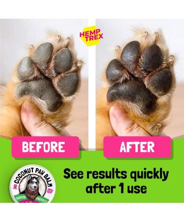 Hemptrex Dog Paw Balm Soother & Moisturizer - 2 oz - Shea Butter, Coconut Oil, Beeswax - Heal & Repair Cracked Paws, Snout & Elbows - Snow & Dry Weather Protection - Buy Online on GoSupps.com