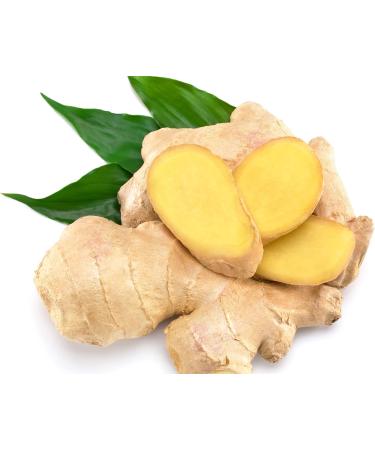 Organic Ginger Powder NPN 80090906/ Traditional Spice with Digestive Benefits/ 100g - Buy Online on GoSupps.com