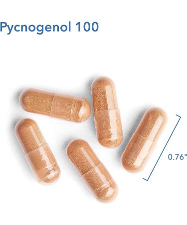 Pycnogenol 100 Pine Bark Supplement - Heart, Brain, Circulation Support - 30 Veg Caps - Buy Online on GoSupps.com
