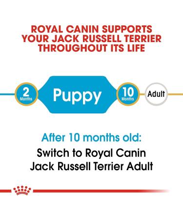 Royal Canin Puppy Food Junior Biscuits for Jack Russell Terrier Puppies Aged 2-10 Months 1.5 kg Bag - Buy Online on GoSupps.com