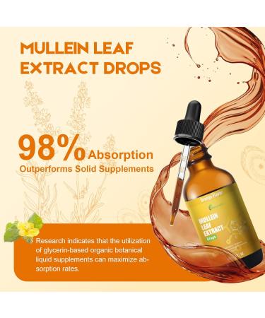 Mullein Drops for Lungs Liquid - Support Respiratory Herbal Supplement Mullein Leaf Extract for Lungs Cleanse with Cordyceps Marshmallow Root & Licorice Root Extract 2 fl oz 1 Pack - Buy Online on GoSupps.com
