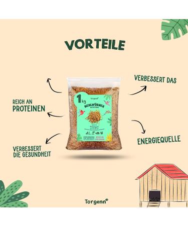 Buy Torgenn Dried Mealworms 1kg - 100% Natural Nutrient-Rich Bird Fish & Reptile Feed - GVO-Free No Additives - Buy Online on GoSupps.com