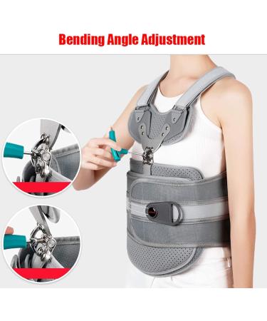 Wedf Thorakolumbale Solid Spinal Support Belt - Adjustable Lumbar Support for Herniated Disc Sciatica Stenosis & Scoliosis - Pain Relief Solution - Buy Online on GoSupps.com