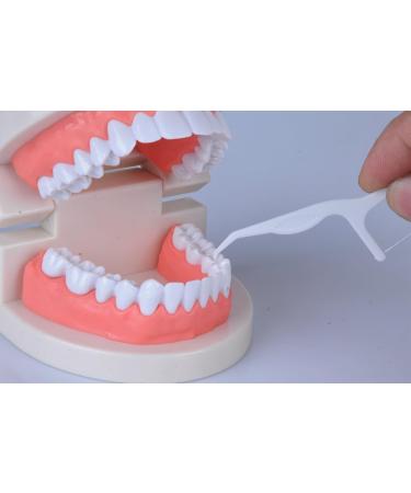cleanpik toothpick 50 / pack 3 box dental floss teeth clean teeth gum floss - Buy Online on GoSupps.com