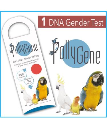 Avian DNA Sexing Kit for Parrots, Macaws, Lovebirds & More (+300 Psittacines) - Gender Reveal Test Card - Buy Online on GoSupps.com