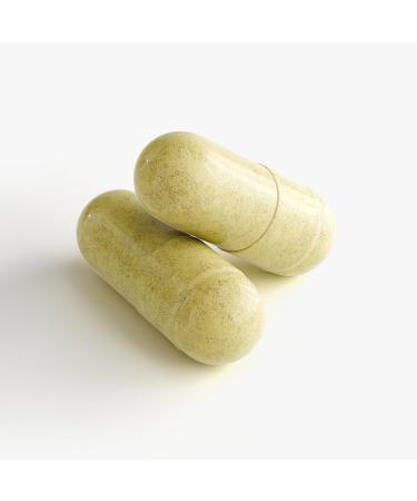 Stellar Health NAD+ Matrix+ Cellular Longevity Formula NAD Supplement 500mg NAD+ Supplements for Men & Women Quercetin 250mg Resveratrol 150mg 60 Capsules - Buy Online on GoSupps.com