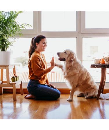 Home Stuff Just 4 Pets Stain & Odour Remover Spray Ideal for Clothing Carpets and Upholstery Safe for animals Painless & Stainless odour neutralisers (750ML) - Buy Online on GoSupps.com