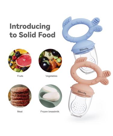 Dilovely Baby Fruit Feeder: Silicone Teething Pacifier with 3 Sizes Pouches - BPA Free Mesh Feeder for Infants (2 Pack) - Buy Online on GoSupps.com
