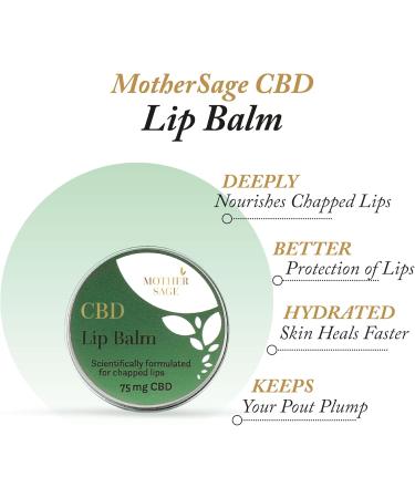 MotherSage CBD Lip Balm - Intensive Hydration and Healing for Dry Chapped Lips with 75mg CBD Shea Butter and Natural Oils | Vegan Cruelty Free THC Free | 15ml - Buy Online on GoSupps.com