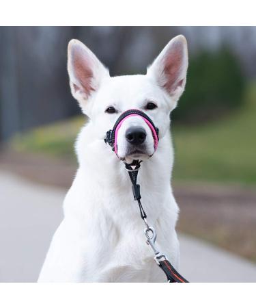 Goodboy Dog Halter with Seat Belt | No Pull Padded Harness for Small Medium & Large Dogs - Size 1 Pink - Buy Online on GoSupps.com