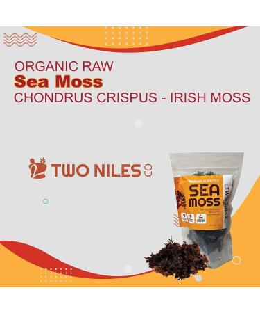 Organic Raw Sea Moss by Two Niles Co for Immunity Boost | Chondrus Crispus | Irish Moss Hair & Skin Mask - Buy Online on GoSupps.com