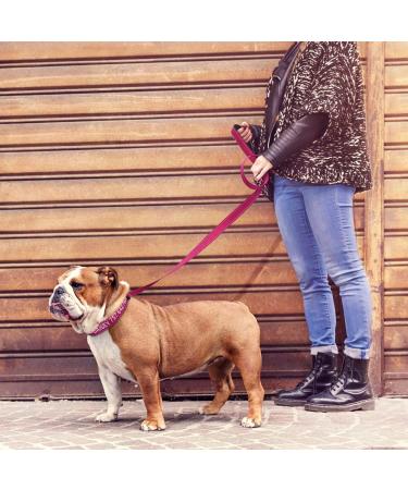 Shop Tagme Personalized Reflective Dog Collar & Leash Set - Hot Pink XL for Large Dogs - 1.5m Double-Sided Leash - International Shipping Available - Buy Online on GoSupps.com