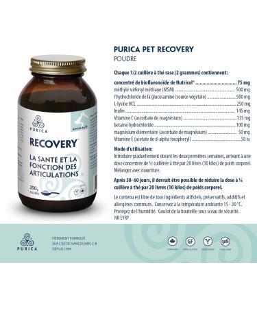 PURICA Pet Recovery Powder - 350g Dog Joint and Hip Supplement Joint Care for Enhanced Mobility & Comfort - Buy Online on GoSupps.com