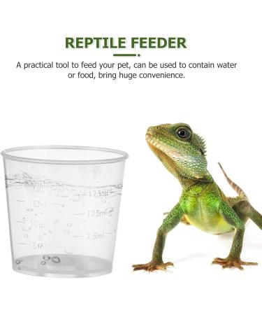 Balacoo 20pcs Pet Feeding Cup Paint Measuring Cups Small Gecko Food and Water Cups Reptile Feeder Cup Animal - Buy Online on GoSupps.com