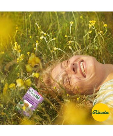 Ricola Elderflower Herbal Candy - 10 B xli Sugar-Free Vegan with 13 Alpine Herbs 500g - International Shipping - Buy Online on GoSupps.com