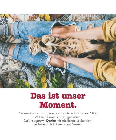 Gimcat Crunchy Snacks for Cats - Turkey & Cranberries Protein-Rich Sugar-Free - 50g Bag (1-Pack) - Buy Online on GoSupps.com