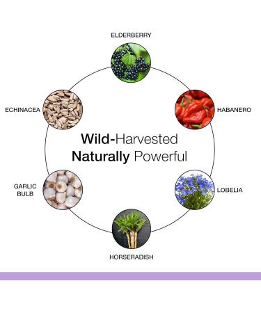 Dr. Schulze's Herbal Shot | Organic Extract | Gluten-Free & Non-GMO for Immune System Support | Total 9 Fl. Oz. | 6 Servings 6-Pack - Buy Online on GoSupps.com