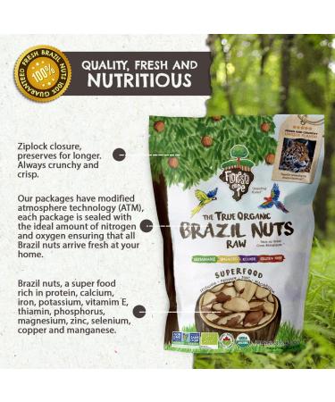 Organic Premium Brazil Nuts (15oz) Raw & Unsalted - Certified Organic, Fresh, Vegan, Gluten Free | Non-GMO, Kosher | Sustainably Harvested - Keto & Paleo Friendly - Pack of 1 - Buy Online on GoSupps.com
