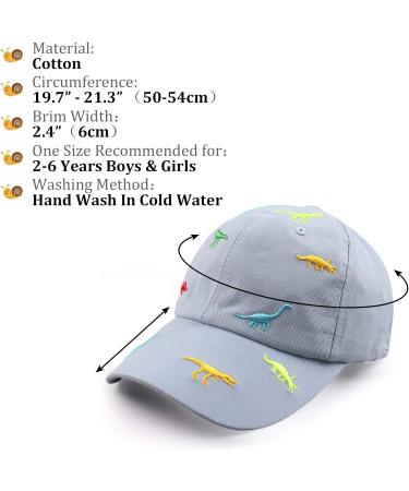 Xiaohawang Adjustable Dinosaur Embroidery Baseball Cap for Girls 2-6 Years - Sky Blue Summer Sport Hat - Buy Online on GoSupps.com