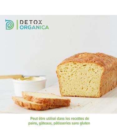 Detox Organica Psyllium Blond Bio Powder - Organic Psyllium Powder - 500 g - Plant Rich in Fibers 100% Natural and Vegan - Buy Online on GoSupps.com