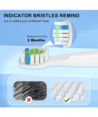 Toothbrush Heads Compatible with Bitvae D2 - 10 Soft Bristle Replacement Heads (5 Black + 5 White) - International Shipping Available - Buy Online on GoSupps.com