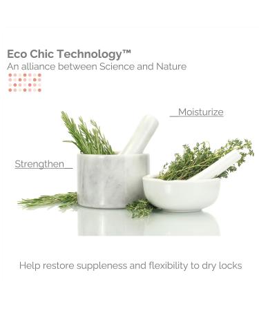GIOVANNI Eco Chic 50:50 Balanced Clarifying Shampoo 128 oz - Sulfate and Paraben Free - pH Balanced Formula for Over-Processed Hair - Color Safe Formula - Buy Online on GoSupps.com