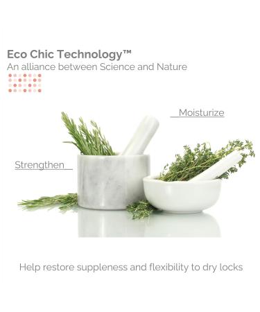Buy GIOVANNI ECO CHIC 50:50 Balanced Hydrating-Calming Conditioner - 128 oz | Sulfate Free Paraben Free Color Safe pH Balanced for Over-Processed Hair | International Shipping Available - Buy Online on GoSupps.com