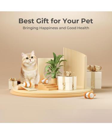 Cheerble Interactive Cat Toys for Indoor Cats Automatic Cat Toy with LED Lights  Wicked Mouse Toy USB Rechargeable Auto On & Off - Yellow - Buy Online on GoSupps.com