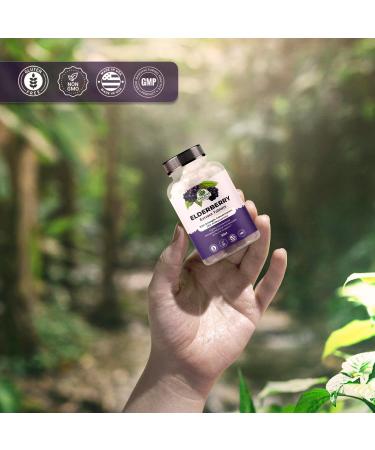 Amazing Botanicals Organic Elderberry Extract Tablets (Sambucus nigra) 100X Strength Tablets Herbal Supplement Vegan, Non-GMO, Gluten-Free 30 Count - Buy Online on GoSupps.com