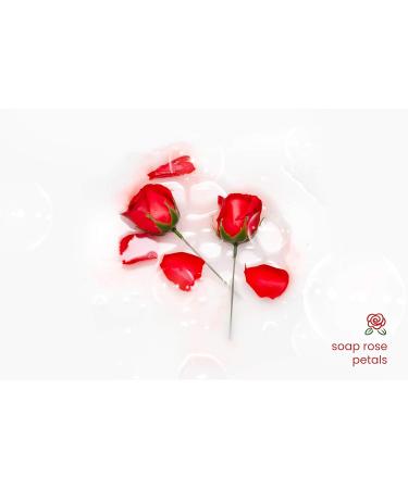 Birthday Gifts for Her | Spa Bath Gift Basket with Red Rose & Jasmine | Essential Oils Soaps Hand Lotion & Stuffed Bear - Buy Online on GoSupps.com