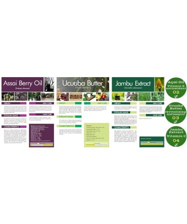Nativilis 07 Virgin Amazonian Rainforest Oils | Anti-Aging Facial Oils with Acai Bacaba Bacuri & More - Perfect Skincare Solution - Buy Online on GoSupps.com