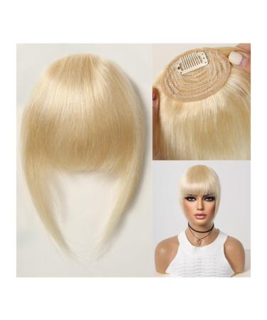 Bangs Hair Clip Hair Clip in Bangs 100% Human Hair Bangs Natural Brown French Bang Fringe with Temples Flat Neat Fake Thick Hairpieces for Women Bangs Clip in Hair(Color:005-5) Blunt Bangs 005-5