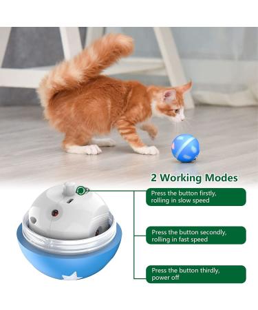 AUKL Interactive Dog Toy | Wicked Ball - Self Moving & Motion Activated - Buy Online on GoSupps.com