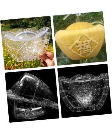 CIYODO Fruits Mold Square Mold Pumpkin Mold Clear Fruit Plastic Fruit Small Growing Mold Ginseng Watermelon Plant - Buy Online on GoSupps.com