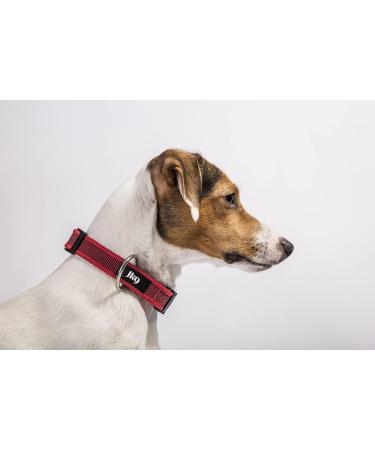 JULIUS-K9 Color & Gray Adjustable Dog Collar - 20mm Width 27-42 cm Size Red-Grey - International Shipping Available - Buy Online on GoSupps.com