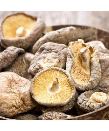  IDDA Herbal IDDA Herbal Shiitake Organic Mushrooms 100g Organic Dried Shiitake Mushrooms for Cooking - Buy Online on GoSupps.com
