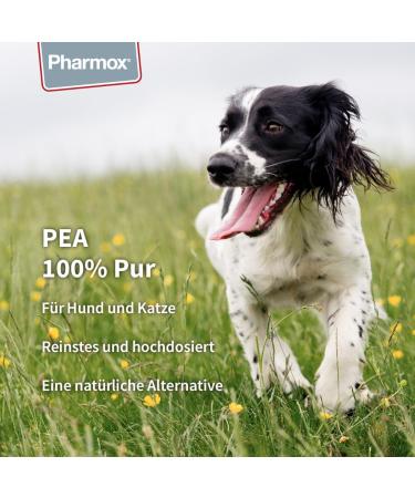 Pharmox Dog & Cat PEA - 100% Pure High Dosage 60 Capsules | Premium Pet Supplement for Health - Buy Online on GoSupps.com