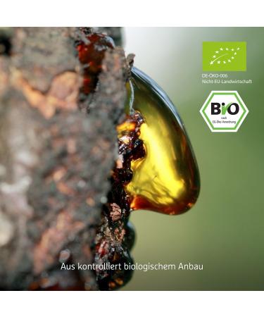 Organic Acacia Fiber Powder - 500g | 80% Fiber Content | Additive-Free & Certified | 50 Days Stock - Buy Online on GoSupps.com