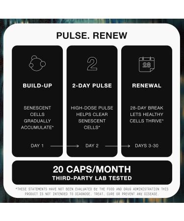 Fisetin Supplement Senolytic Supplement Ultra High Potency 4,000mg with Quercetin Curcumin 97% Apigenin & Milk Thistle High Strength Blend Third-Party Lab Tested 6 Month Supply - Buy Online on GoSupps.com
