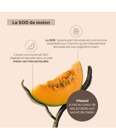Vita POUR-MON-COEUR SOD de melon Compl ment alimentaire pour entretenir le c ur et le syst me circulatoire Vitamines B1 B6 B9 B12 Om ga3 (EPA et DHA) 60 Capsules - Buy Online on GoSupps.com