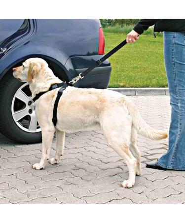 Trixie Black Car Dishes Size L - Adjustable Dog Harness for Large Dogs (Chest 70-90 cm) | Secure Travel Solution - Buy Online on GoSupps.com