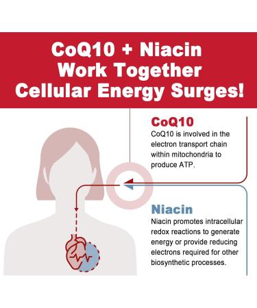 Sugar Free CoQ10 Gummies 250MG | High Absorption Coenzyme Q10 Magnesium Glycinate & Niacin | Heart Health & Energy Support | 60 Count - Buy Online on GoSupps.com