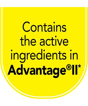 TevraPet Actispot II Flea Treatment for Cats 6 Doses - Large Cats 9+ lbs | Effective Prevention & Control - Buy Online on GoSupps.com