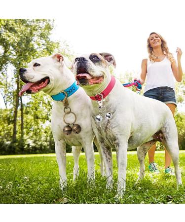 AUTUUCKEE 2pcs Super Loud Dog And Cat Bells For Collars Pet Trackers And Falcons Durable Collar Charm D-Ring+Split Ring Silver+antique Brass - Buy Online on GoSupps.com