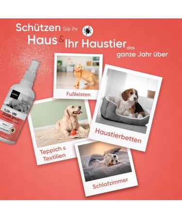 Animigo Flea Spray for Cats & Dogs - Natural Insecticide-Free Remedy for Fleas Ticks & Lice - 500ml Peppermint & Castor Oil Protection for Home & Furniture - Buy Online on GoSupps.com