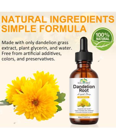 PFDGRVI Dandelion Root Extract Drops Liquid Organic Dandelion Root Supplement for Liver Health | Vegan | Gluten Free | Sugar Free | Non-GMO (1) - Buy Online on GoSupps.com