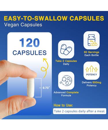 Magnesium Complex 500mg Magnesium Glycinate Malate & Citrate - High Absorption Chelated Triple Magnesium Supplement with Zinc Vitamin D3 for Muscle Nerve Bone & Immune Support Vegan 120 Capsules 120 Count (Pack of 1) - Buy Online on GoSupps.com