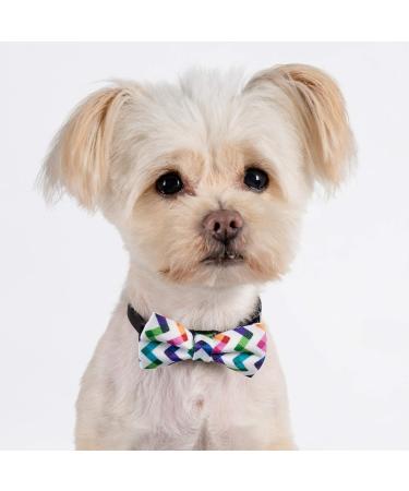 PAWHITS 2PCS Dog Cat Bow Tie Color Butterfly Collar - Cute Pet Costume Accessories - Buy Online on GoSupps.com
