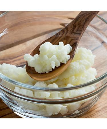 Good Gut Tribe - Organic Milk Kefir Grains (5g) - Buy Online on GoSupps.com