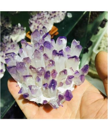 Natural Crystal Cluster Amethyst Specimen Ore Purple Reiki Stone Raw Crystal Home Decor Decoration Gift (Size : 500-600) - Buy Online on GoSupps.com